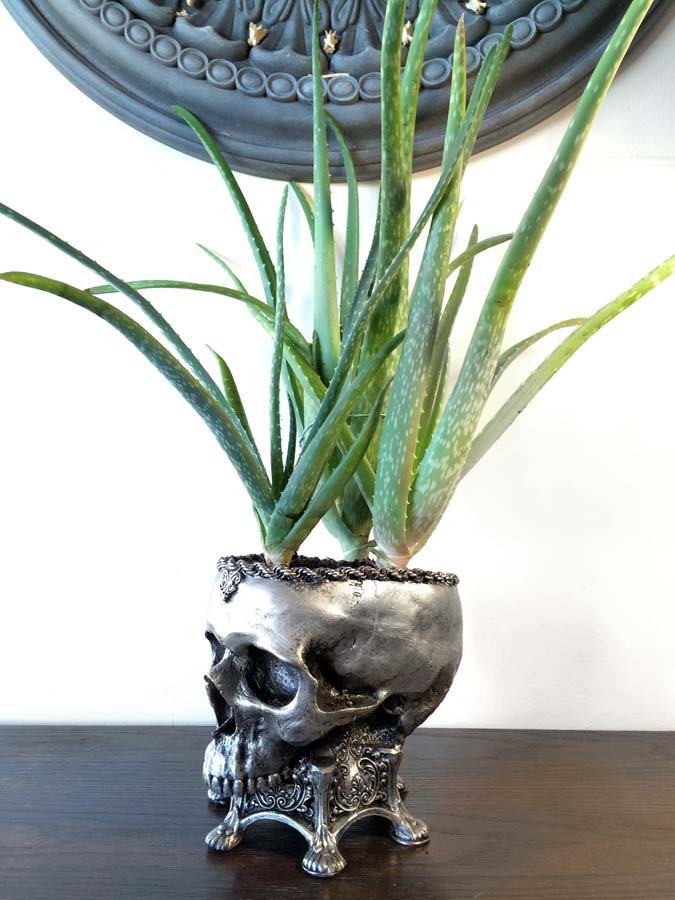 Human Skull Planter Pewter Finish, Hand Painted Resin Sculpture | Unique Gothic Home Decor | Spooky Art Gift and Gothic Home Decor