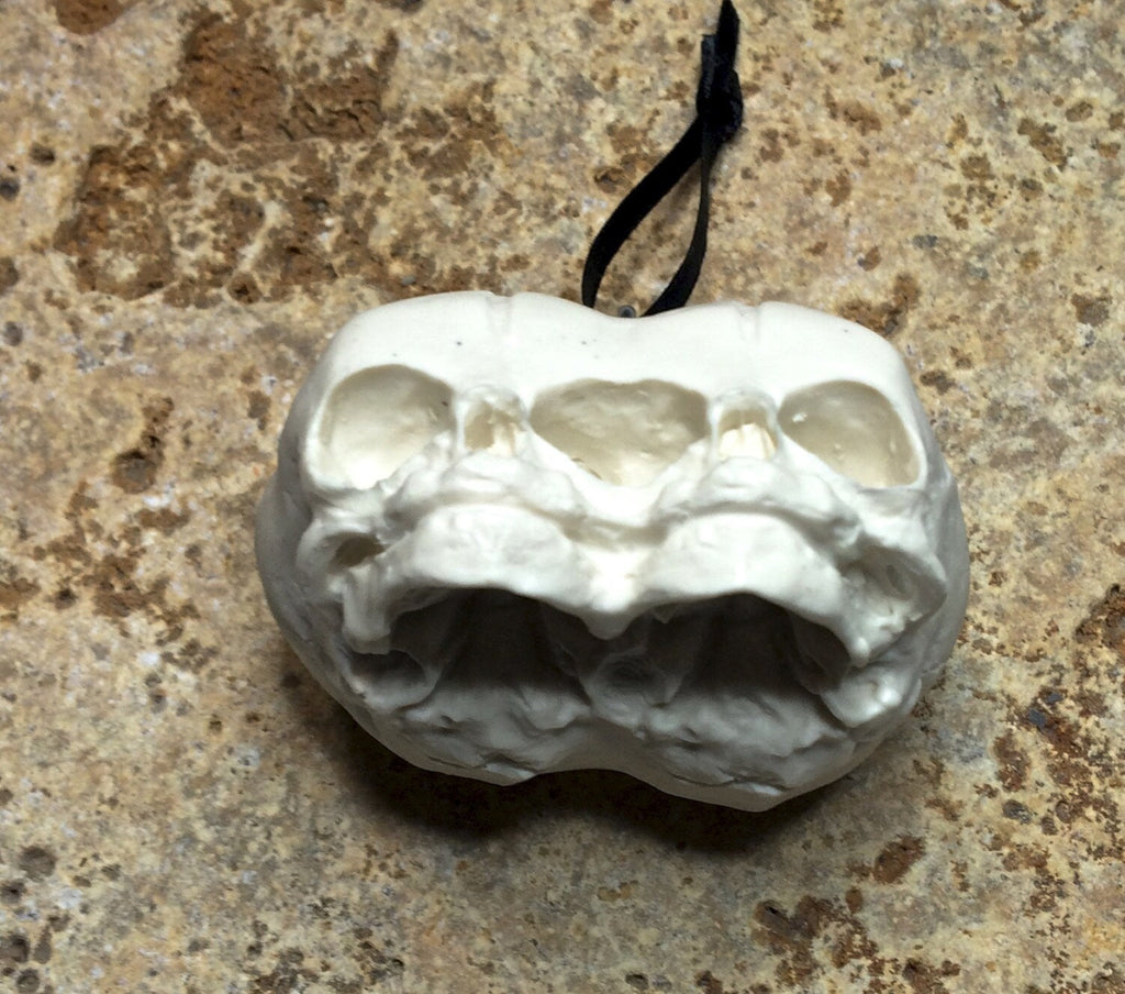 Conjoined Twins Fetal Skull Ornament, Resin Sculpture | Gothic Fantasy Skull Figurine |Conjoined Skull Ornament for Fantasy and Gothic Decor