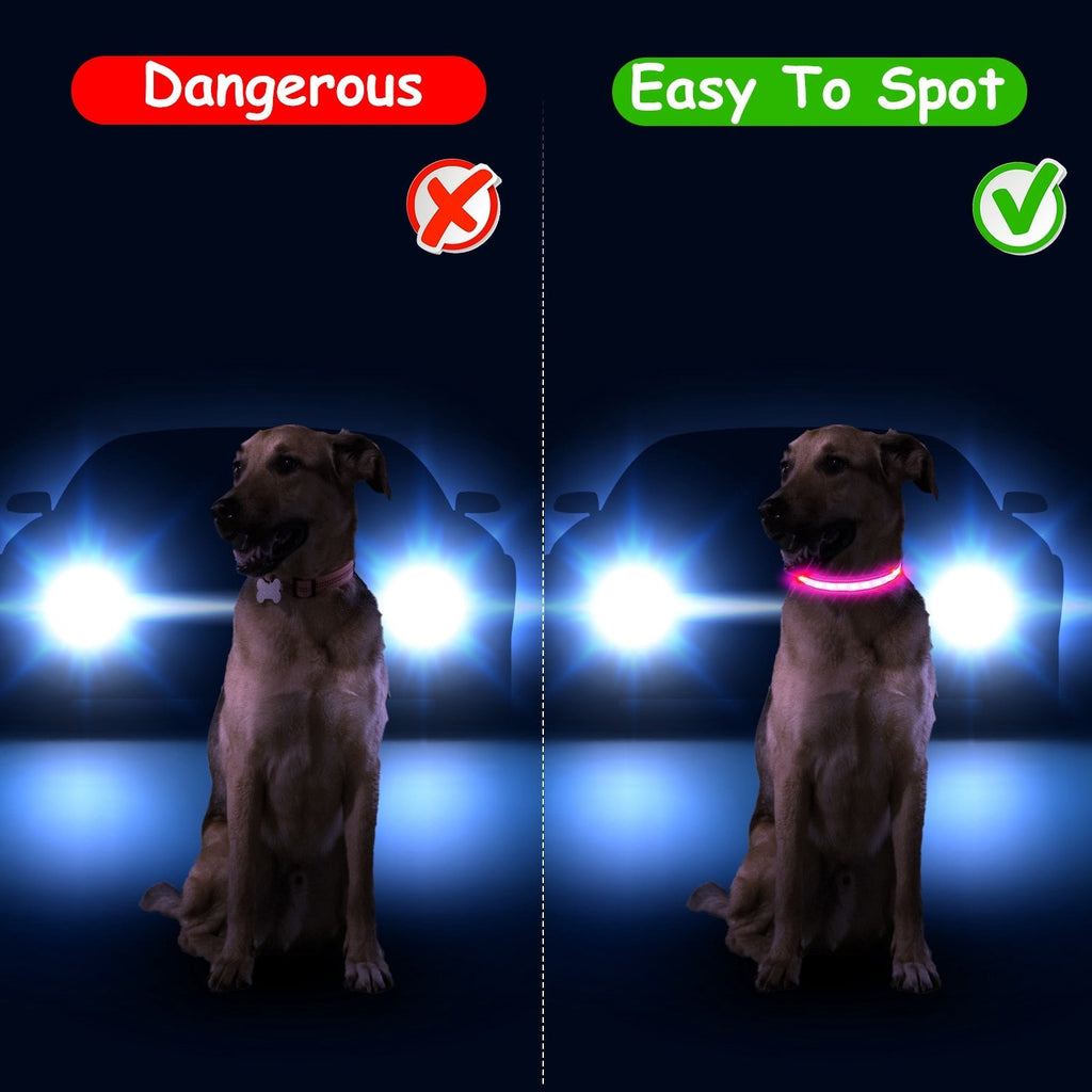 Light Up Dog Collar LED Dog Collar Safety Night Glowing Dog Collar with 9 Light Colors IPX7 Waterproof USB Rechargeable S/M/L