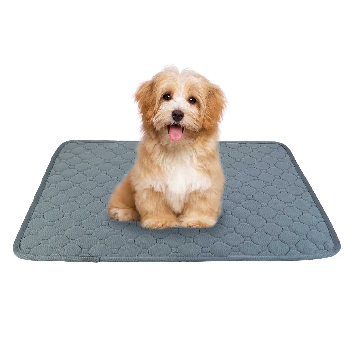 GBruno Washable Dog Pee Pad