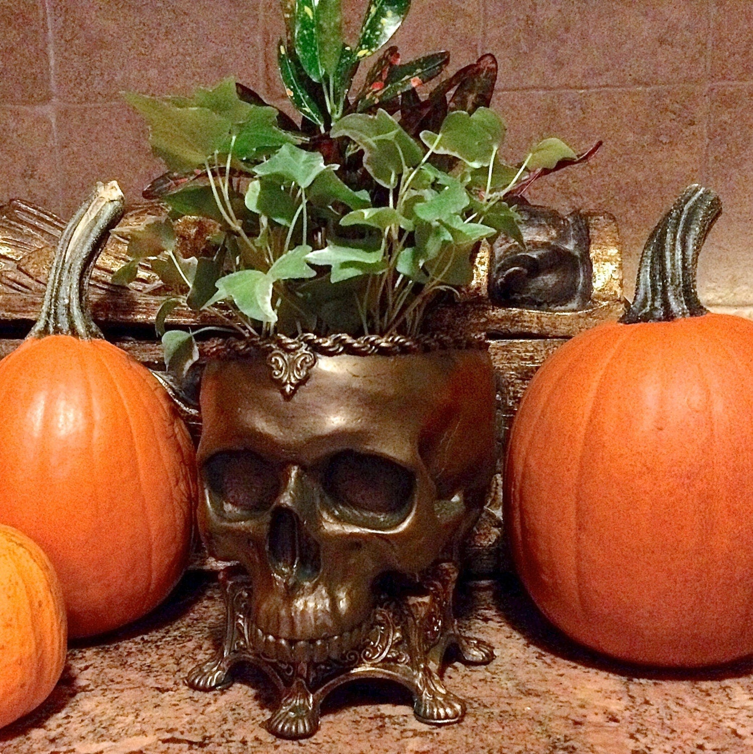Human Skull Planter Bronze Finish, Hand Painted Resin Sculpture | Unique Gothic Home Decor | Spooky Art Gift and Gothic Home Decor