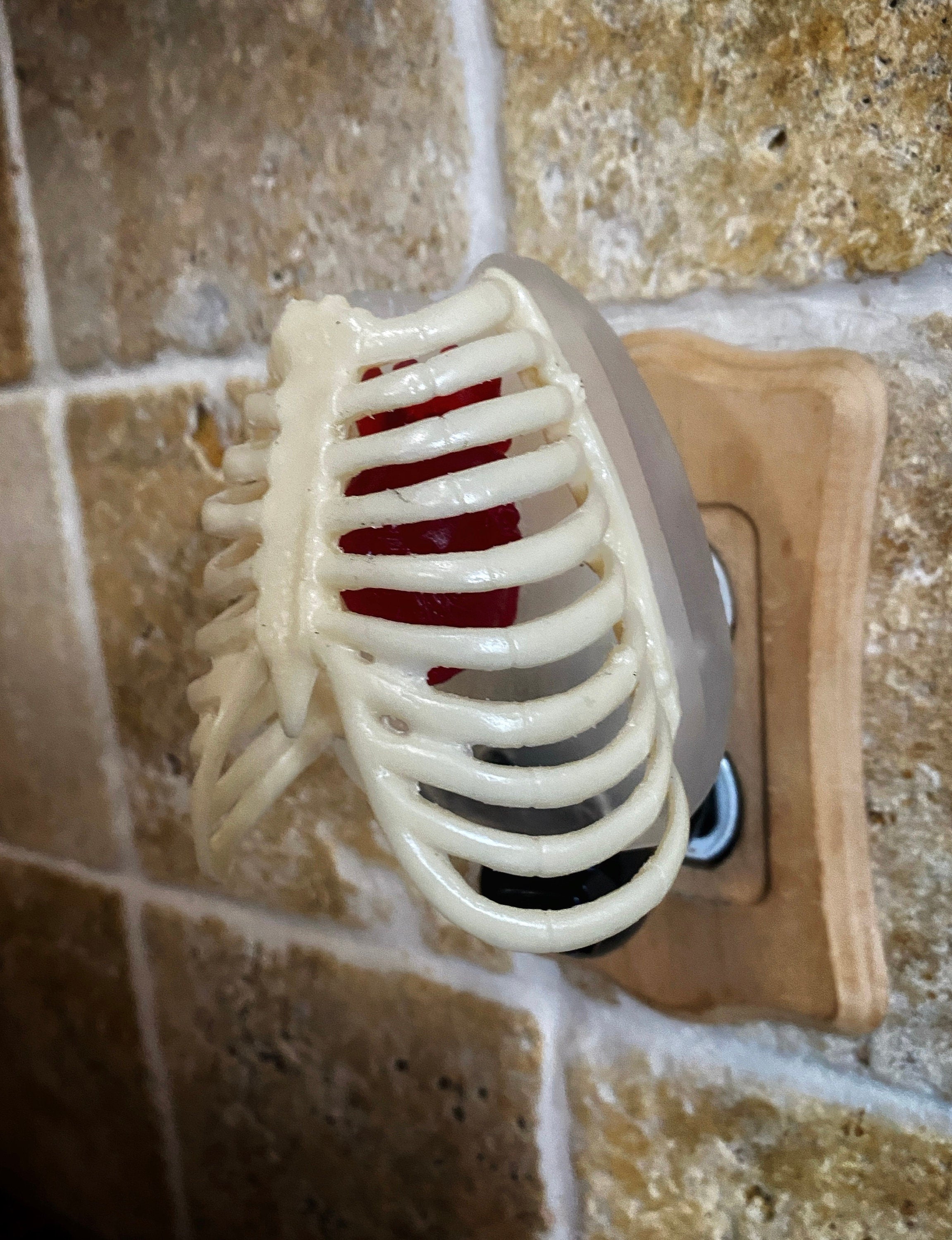 Rib Cage and Heart Nightlight, Hand Painted Resin Sculpture | Gothic Night Light |  Human Anatomy Lighting for Gothic Fantasy Home Decor