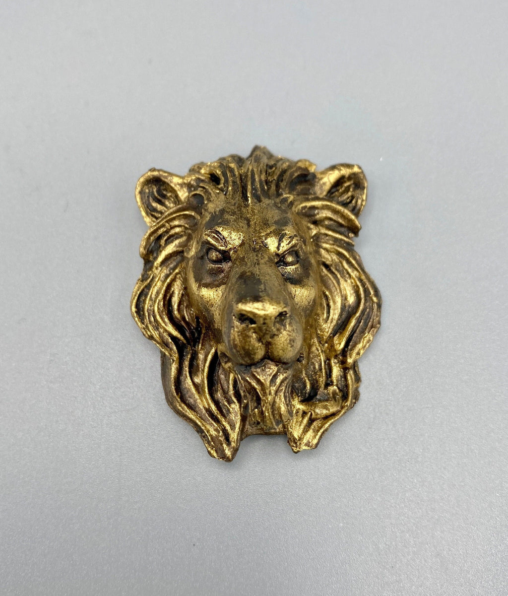 Lion's Head Magnet, Hand Painted Resin Sculpture | Mythic Fantasy Decor | Lion Magnet for Fantasy and Gothic Decor