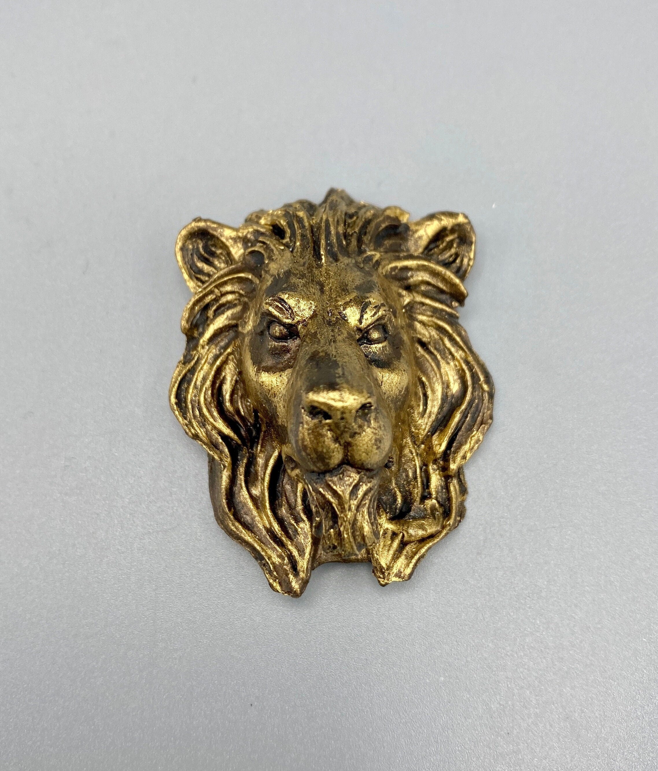 Lion's Head Magnet, Hand Painted Resin Sculpture | Mythic Fantasy Decor | Lion Magnet for Fantasy and Gothic Decor