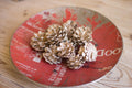 Kalalou Bag of Pine Cones - fall/winter/Thanksgiving/Christmas home accent decor