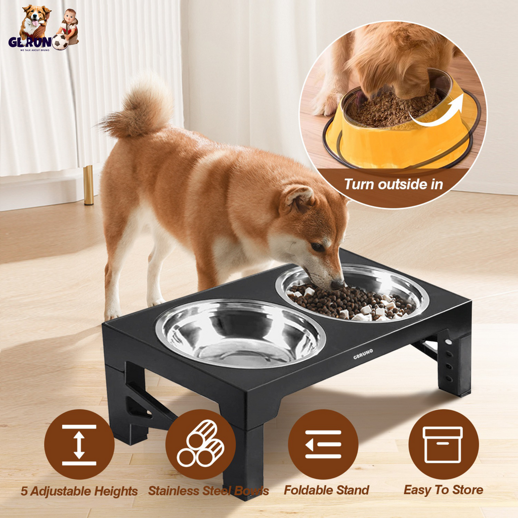 GBruno Dog Raised Bowls
