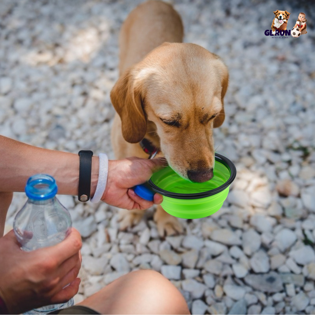 4Pcs Silicone Collapsible Dog Bowls BPA Free Travel Dog Bowl Foldable Cat Dog Food Water Bowl w/ Carabiner Clip For Traveling Walking Hiking