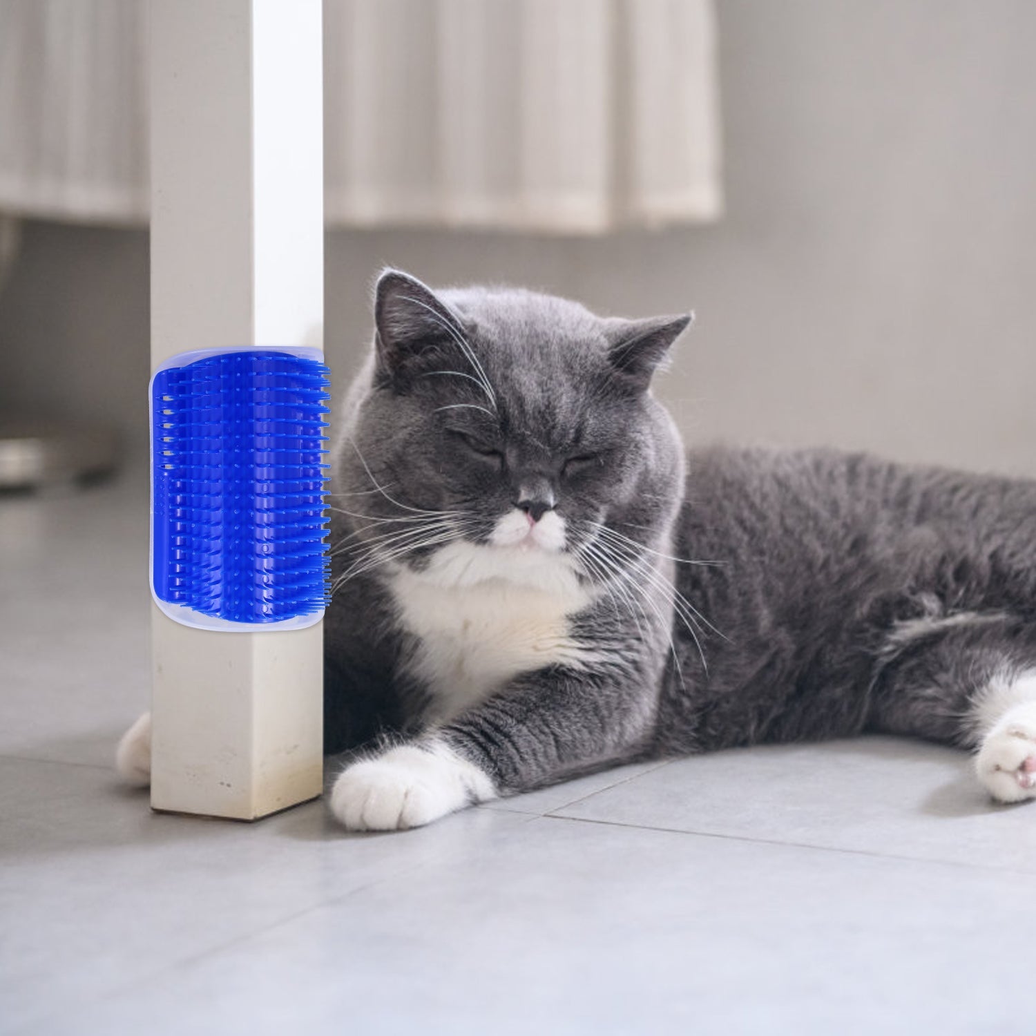 GBruno Cat Self Groomers Dog Cat