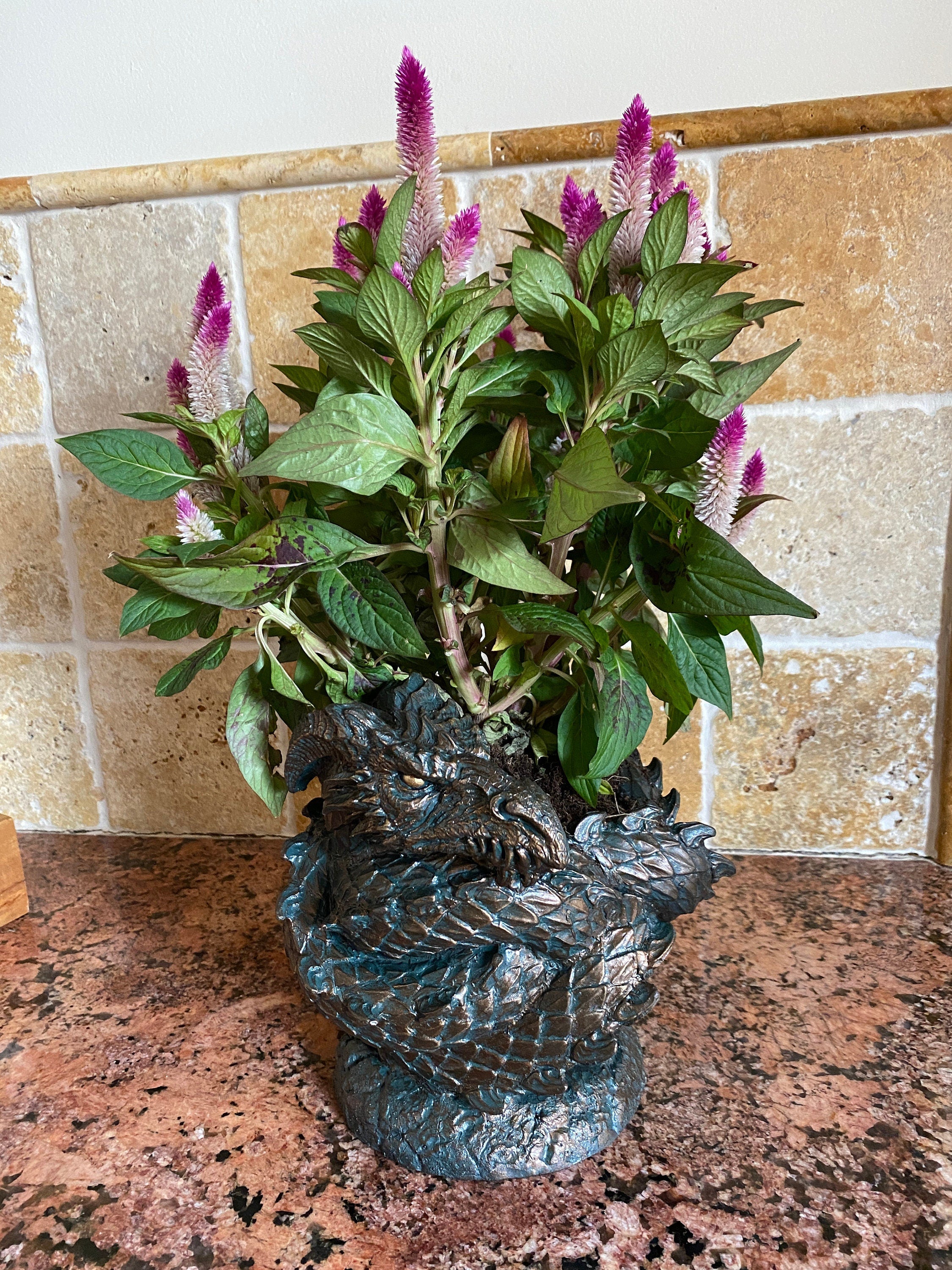 Coiled Dragon Planter, Large Version |  Unique Mythic Creature Home Decor | Resin Sculpture Snake Vase, Fantasy Art and Gothic Home Decor