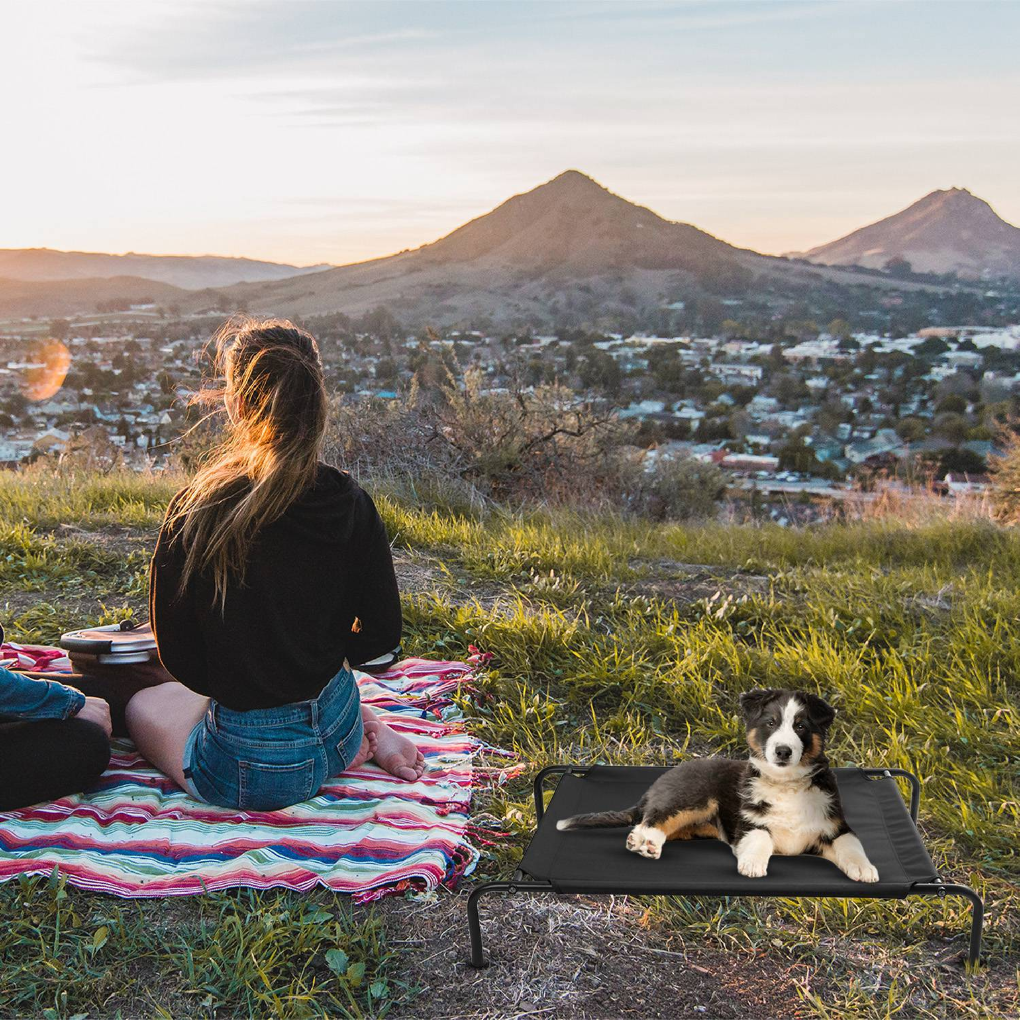 GBruno Elevated Pet Bed