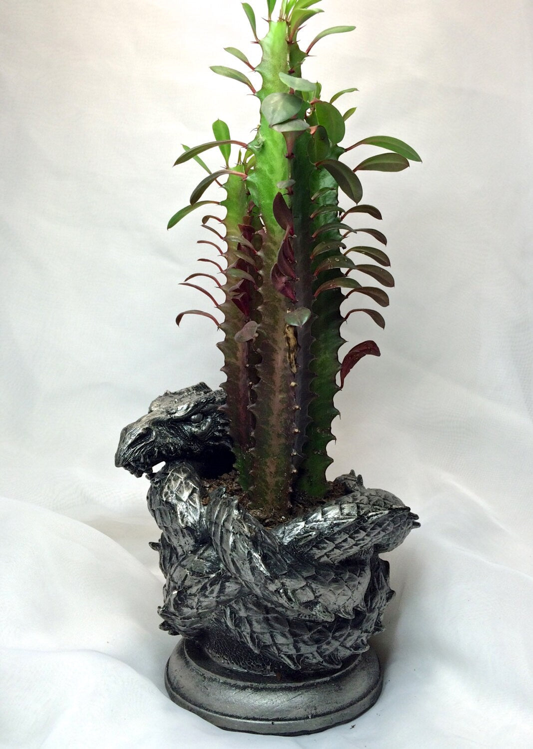 Coiled Dragon Planter, Pewter Finish |  Unique Mythic Creature Home Decor | Resin Sculpture Snake Vase, Fantasy Art and Gothic Home Decor