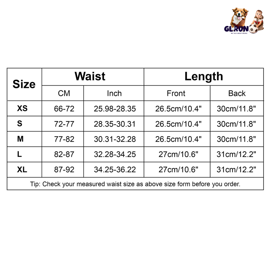 WG_Gift_BodyShaperWaist(S)_GPCT872