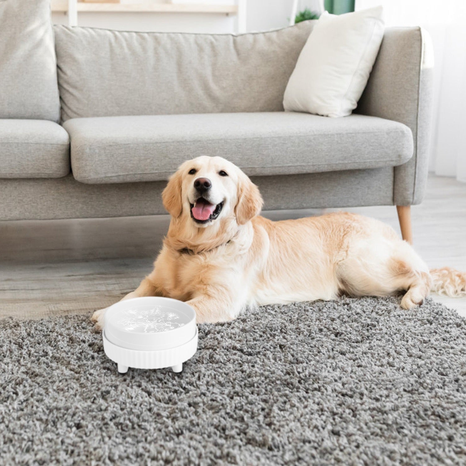 Heated Water Bowl For Dogs And Cats Ceramic Heated Pet Water Bowl Food Warmer USB Powered Thermal Pet Bowl Provide Fresh Non Freezing Drinkable Water