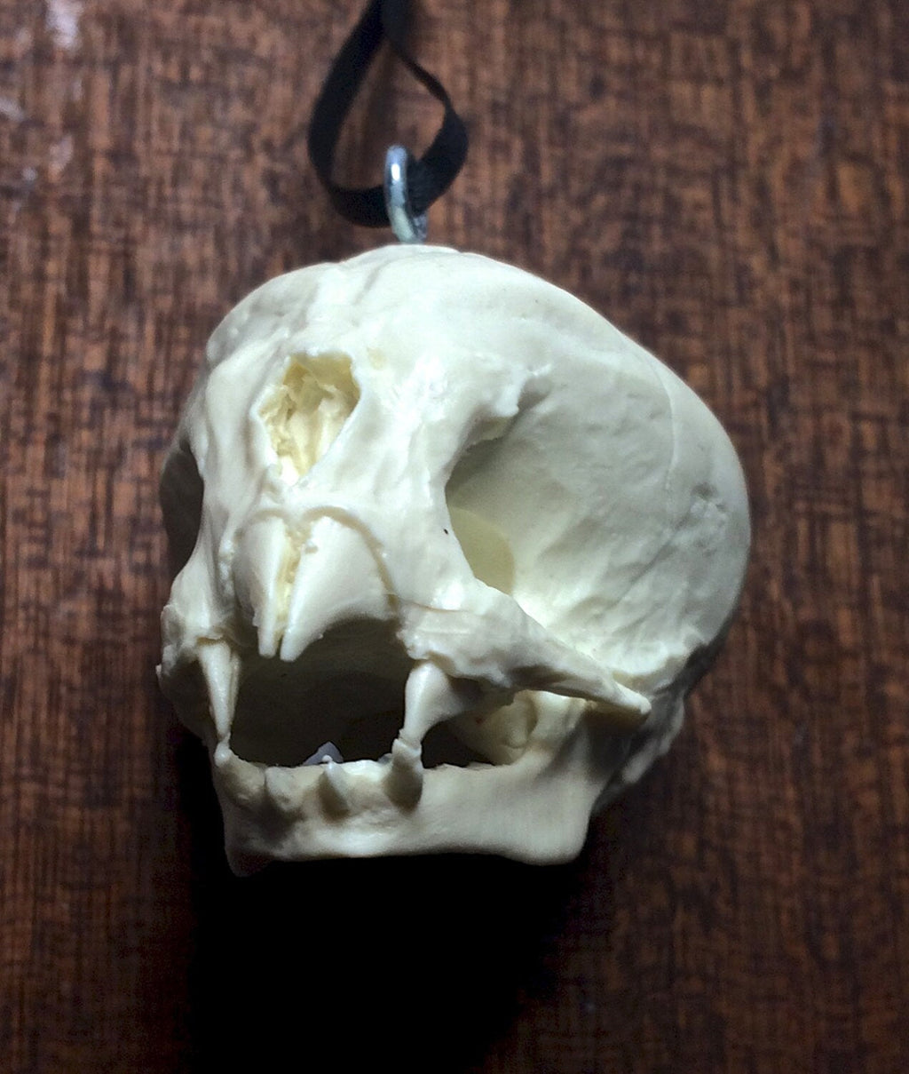 Nosferatu Fetal Skull Ornament