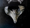 Soaring Fruit Bat Magnet, Hand Painted Resin Sculpture | Mythic Fantasy Decor | Vampire Bat Magnet for Fantasy and Gothic Decor