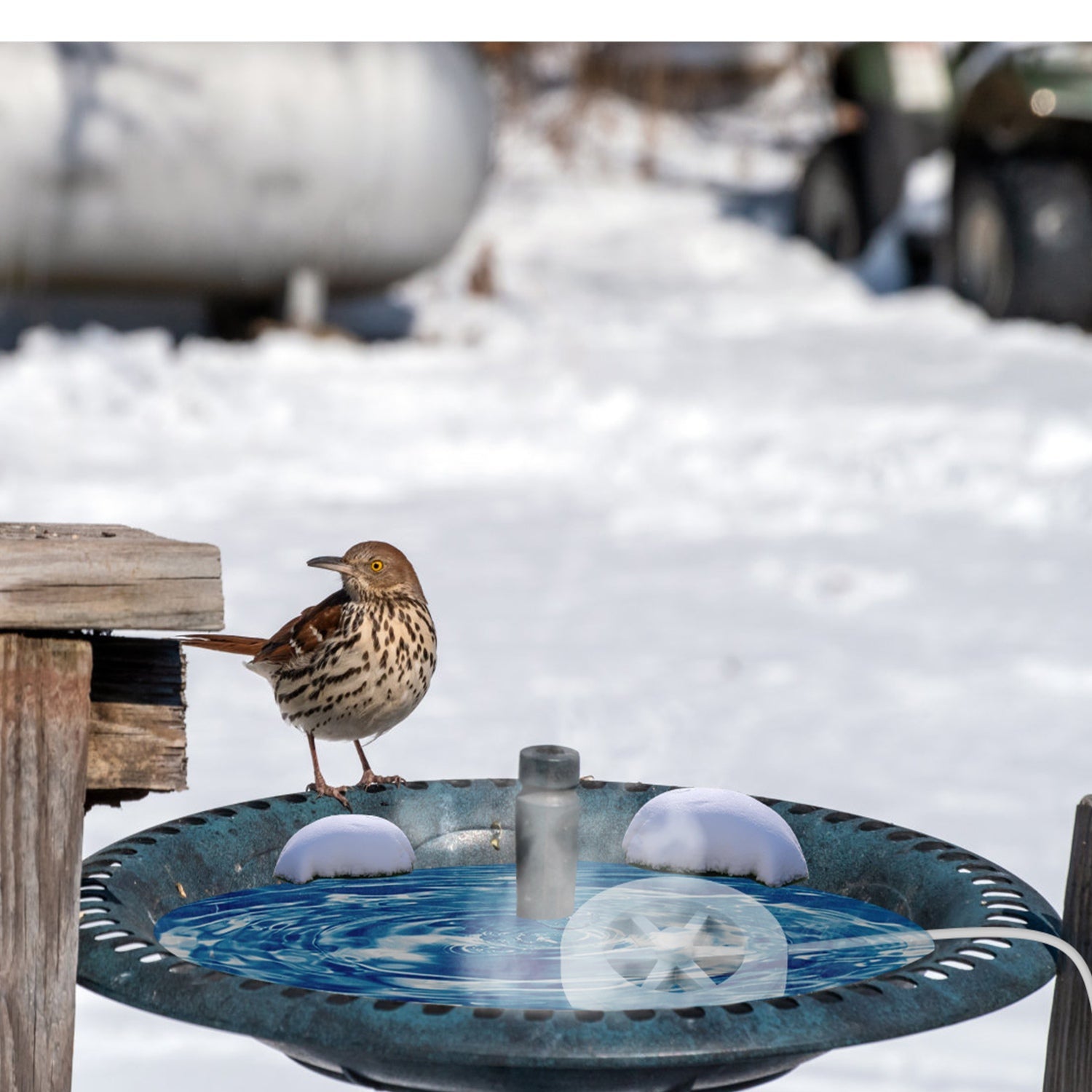 70W Outdoor Bird Bath Heater Winter Deicer with Thermostat, Auto Shutoff & Waterproof Design