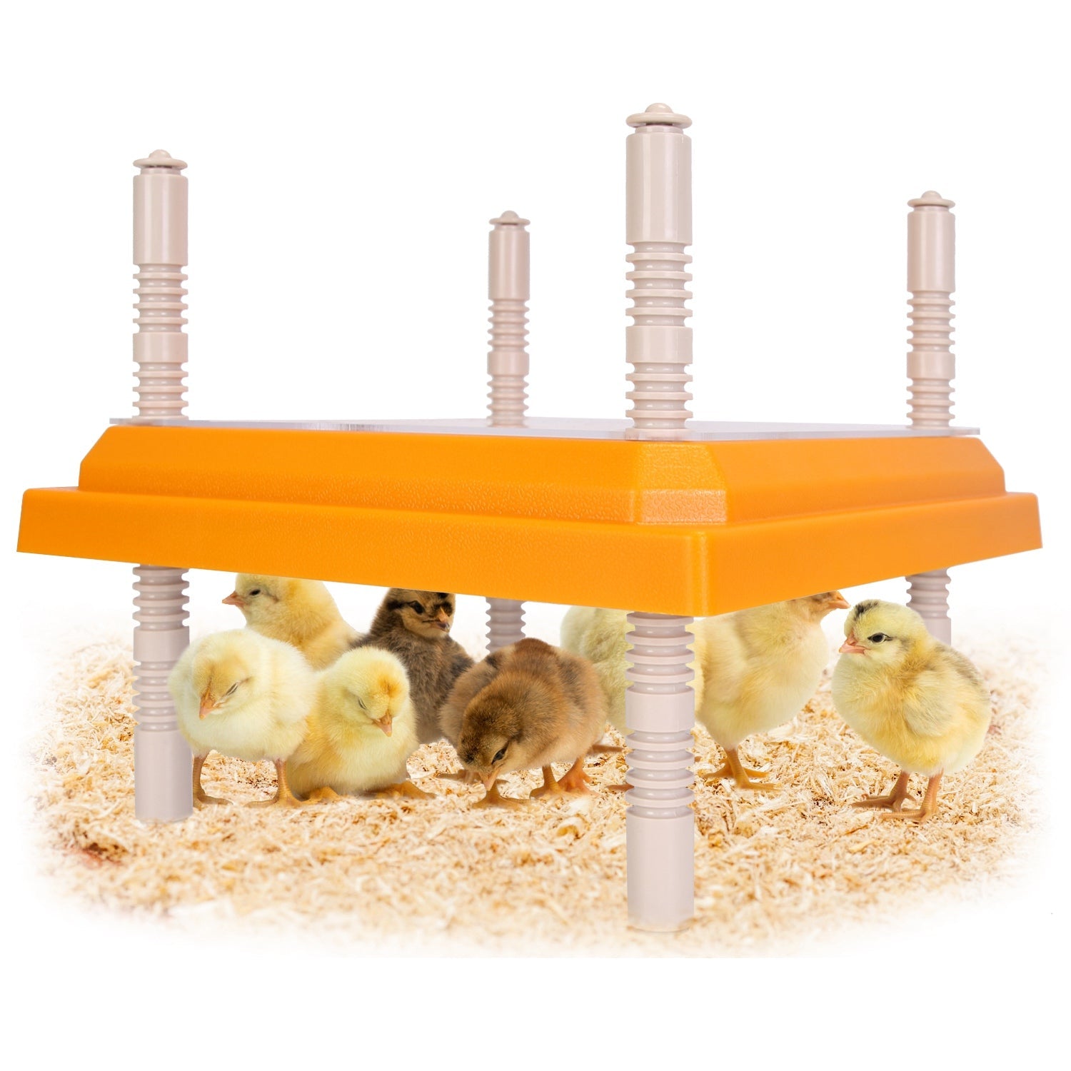 GBruno Chick Brooder Heating Plate