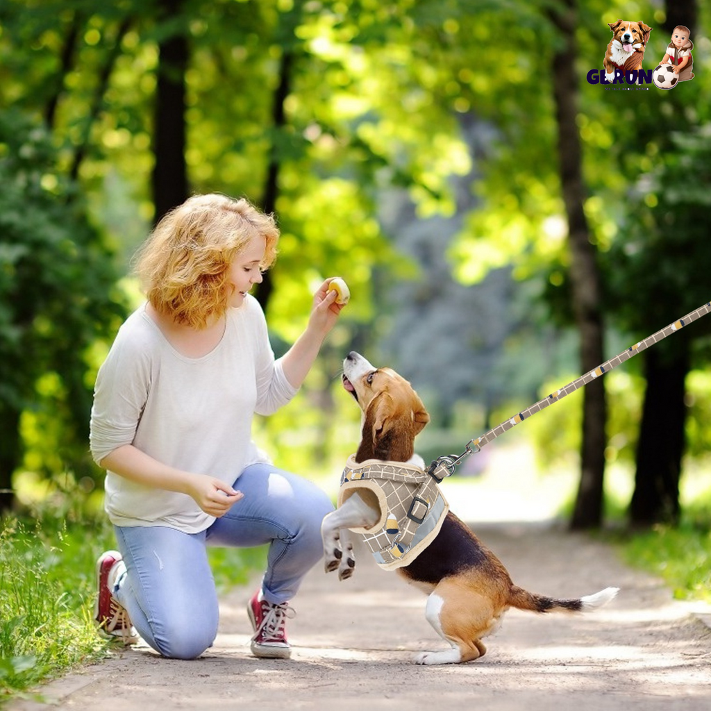 GBruno Pet Mesh Harness