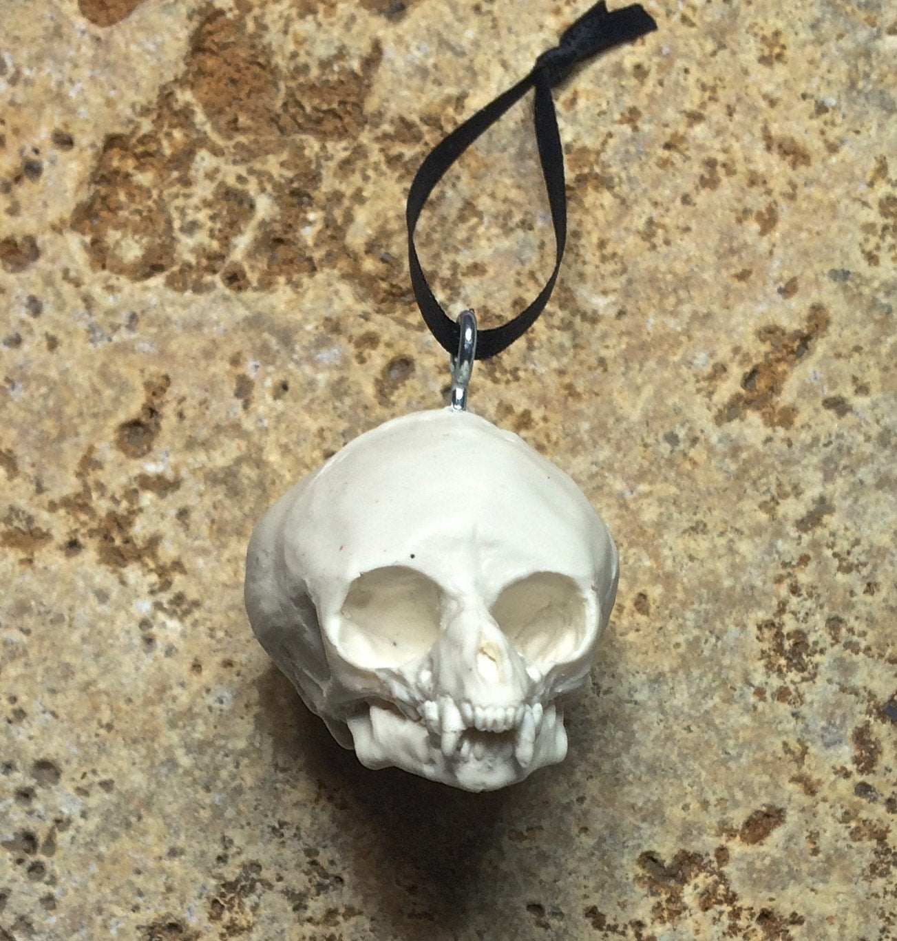 Werewolf Fetal Skull Ornament, Resin Sculpture | Gothic Fantasy Skull Figurine | Werewolf Skull Ornament for Fantasy and Gothic Decor