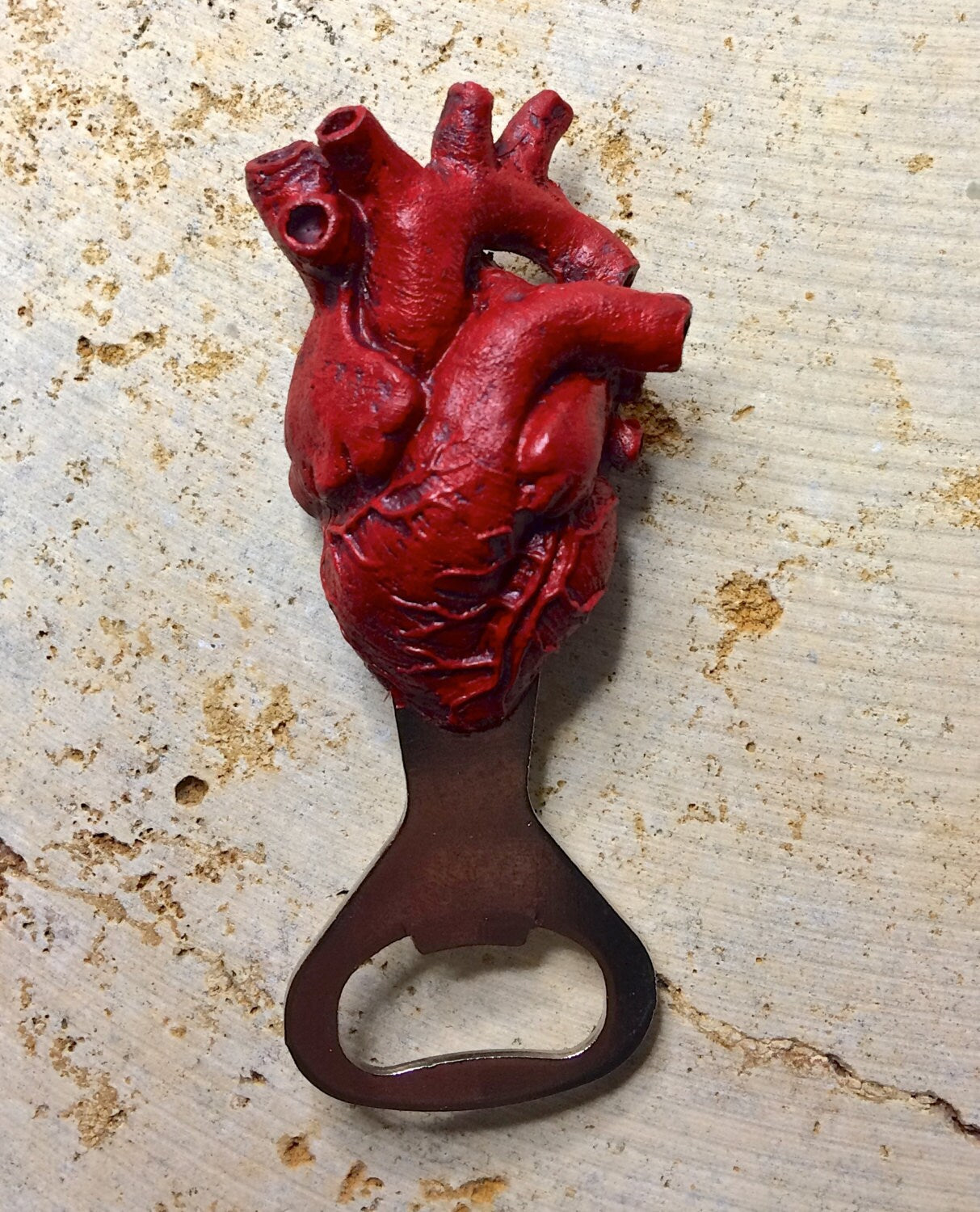 Anatomical Heart Bottle Opener, Hand Painted Resin | Gothic Medical Decor, Anatomy Heart Bottle Opener |Fantasy Gothic Beer and Barware Gift