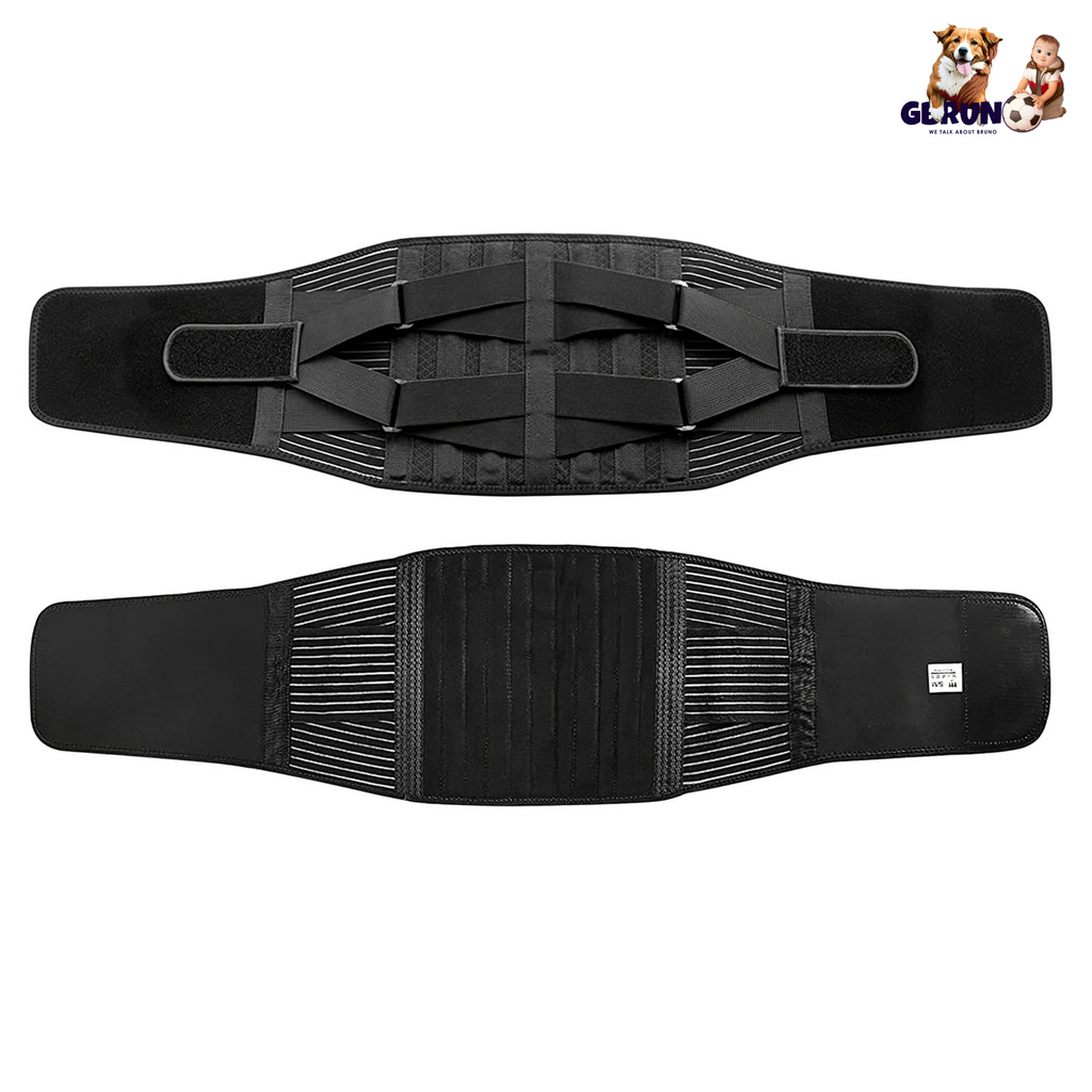 Back Support Brace Breathable Mesh Lumbar Support BeltÊAdjustable Lower Back Brace with Stays and Springs for Pain Relief for Men Women