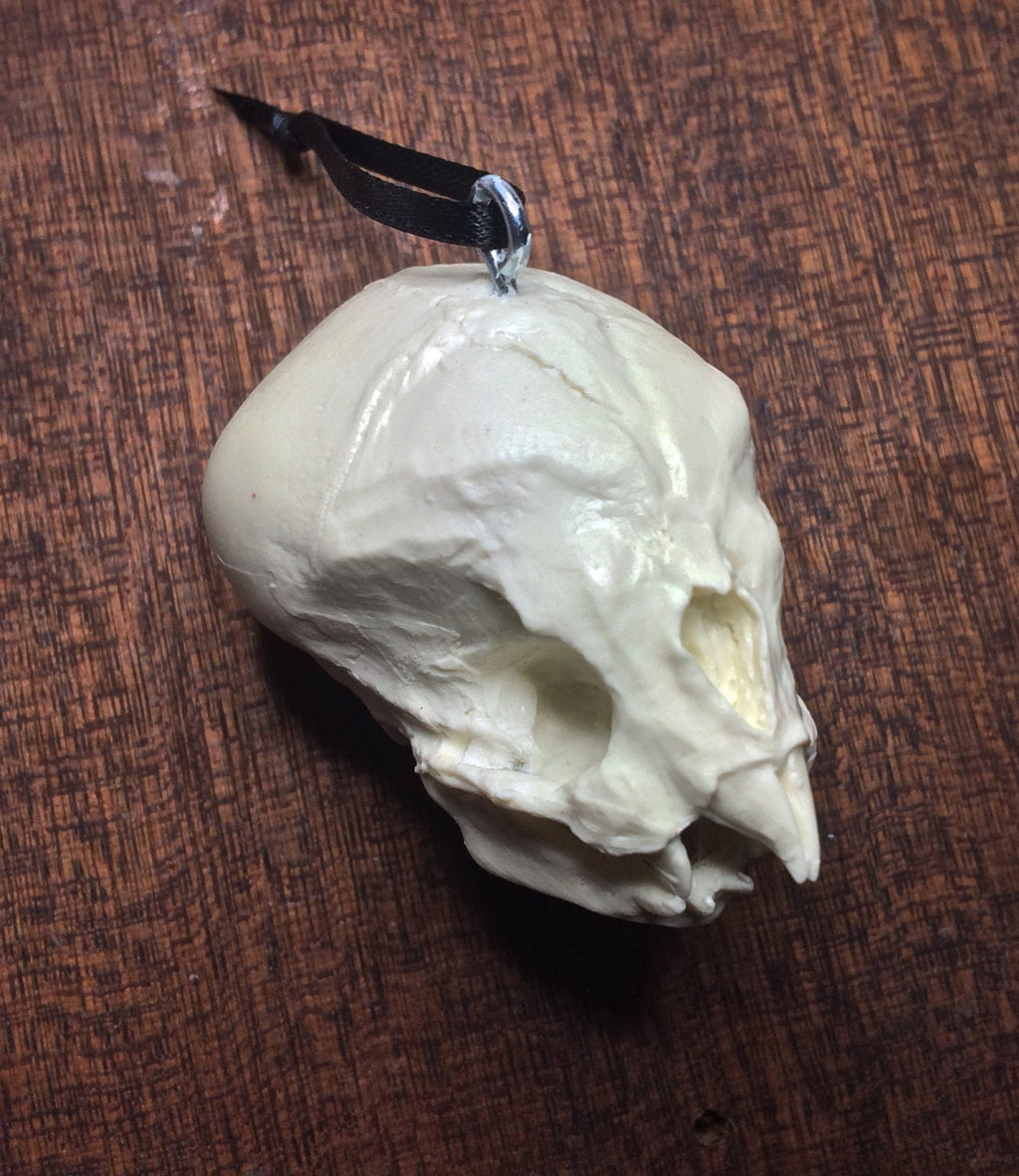 Nosferatu Fetal Skull Ornament