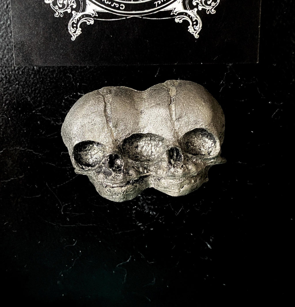 Conjoined Twins Skull  Magnet, Hand Painted Resin Sculpture | Gothic Fantasy Decor | Conjoined Skull Magnet for Fantasy and Gothic Decor