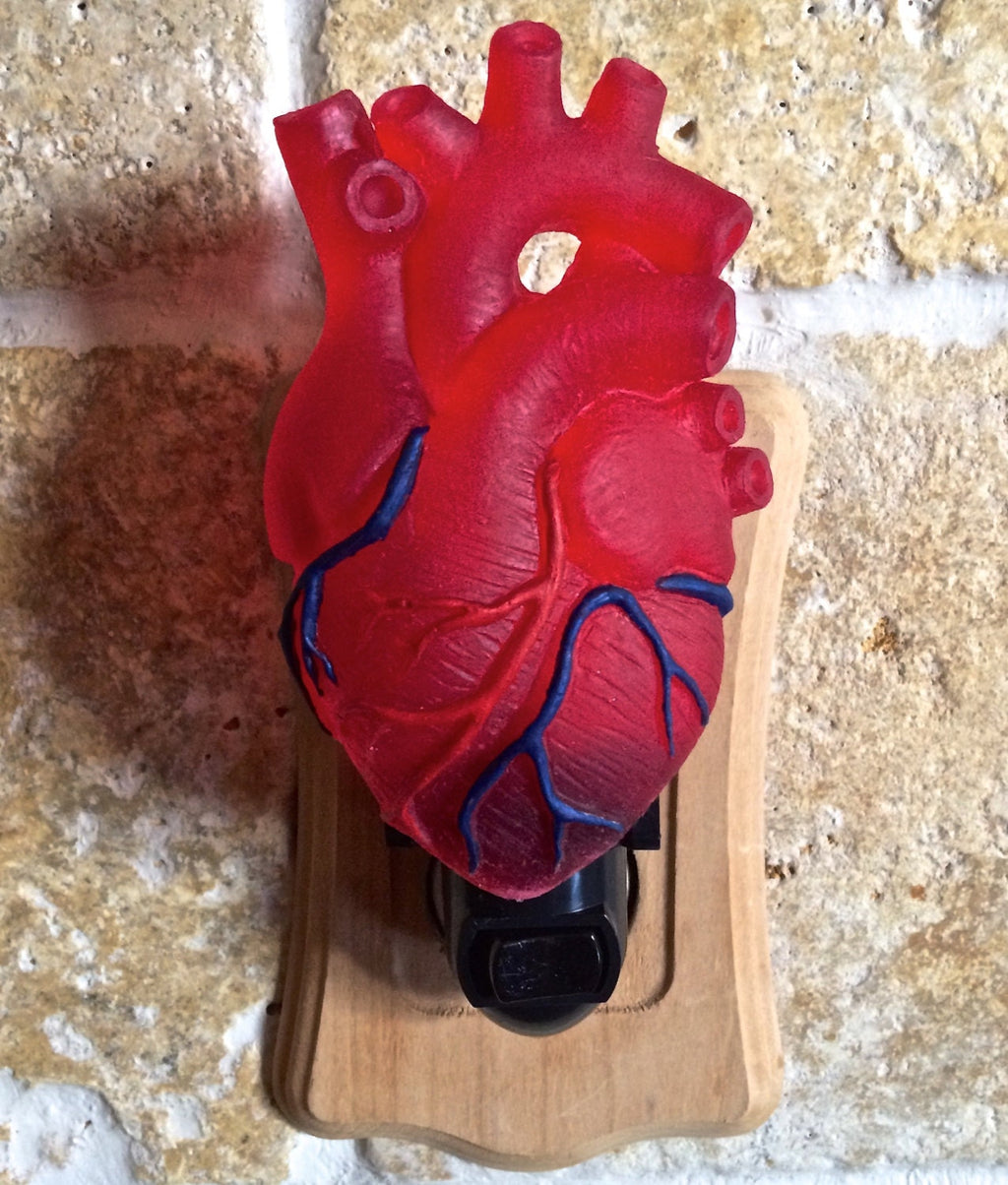 Anatomical Heart Nightlight, Hand Painted Resin Sculpture | Gothic Night Light |  Human HeartLighting for Gothic Fantasy Home Decor