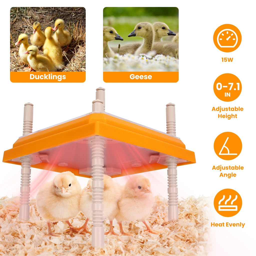 GBruno Chick Brooder Heating Plate