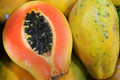 25 Solo Sunset Papaya Seeds - Sweet Red/Pink Fruit, Fast-Growing, Bears in 9 Months, Tropical & Container Friendly, !
