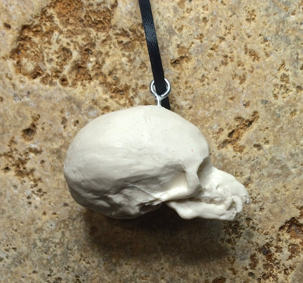 Werewolf Fetal Skull Ornament, Resin Sculpture | Gothic Fantasy Skull Figurine | Werewolf Skull Ornament for Fantasy and Gothic Decor