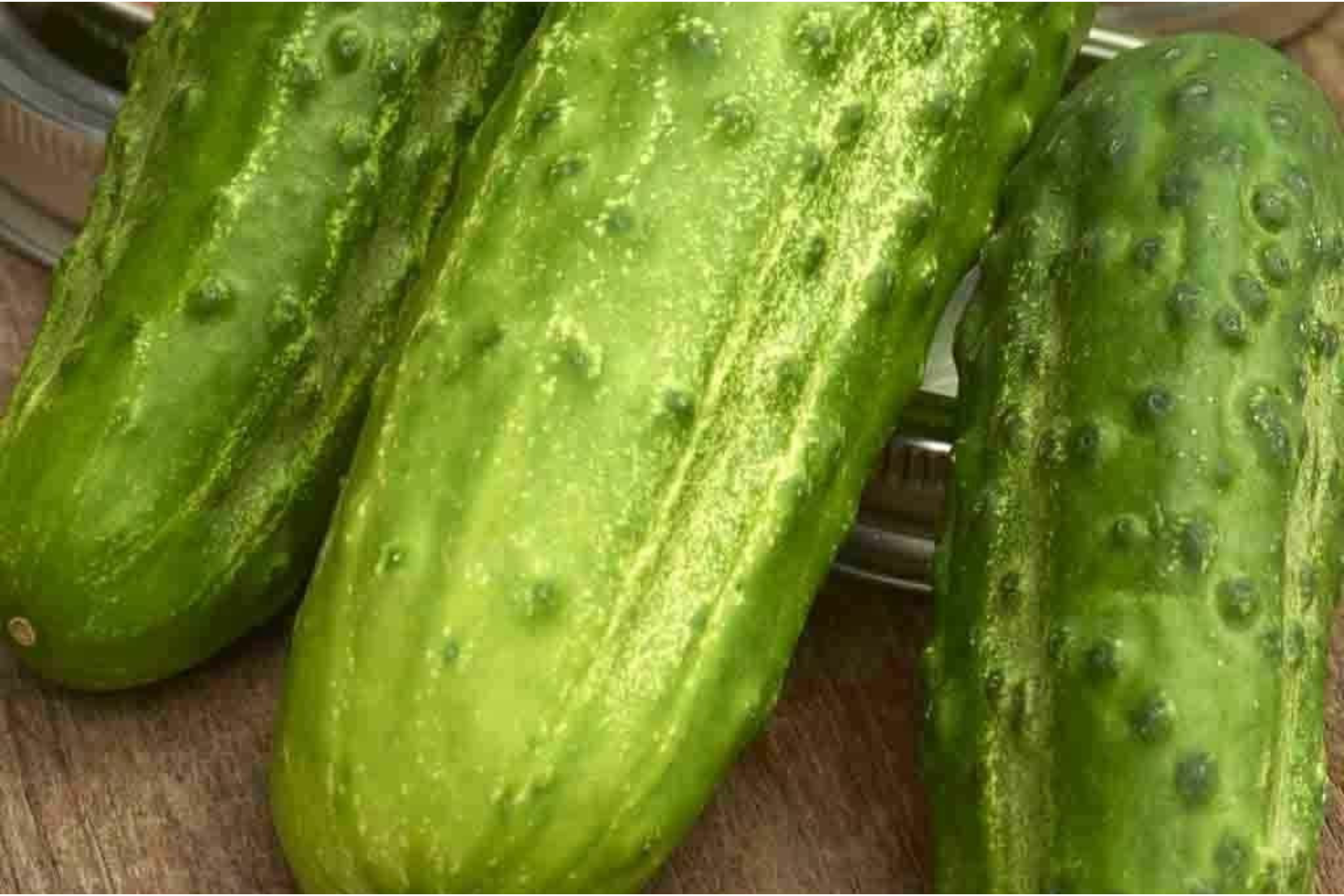 75 Boston Pickling Cucumber Seeds - Heirloom, Non-GMO, Perfect for Pickling, USA Seller