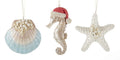 Delton Beach Coastal Christmas Tree Ornaments Set 3 Starfish Clam Shell Seahorse