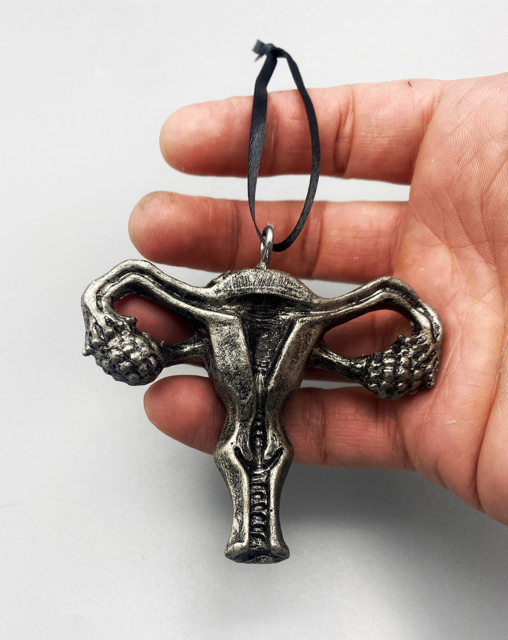 Uterus & Ovaries Ornament, Hand Painted Resin Sculpture | Medical Art, Feminist Symbol, Equal Rights Decor, Reproductive Organs Ornament