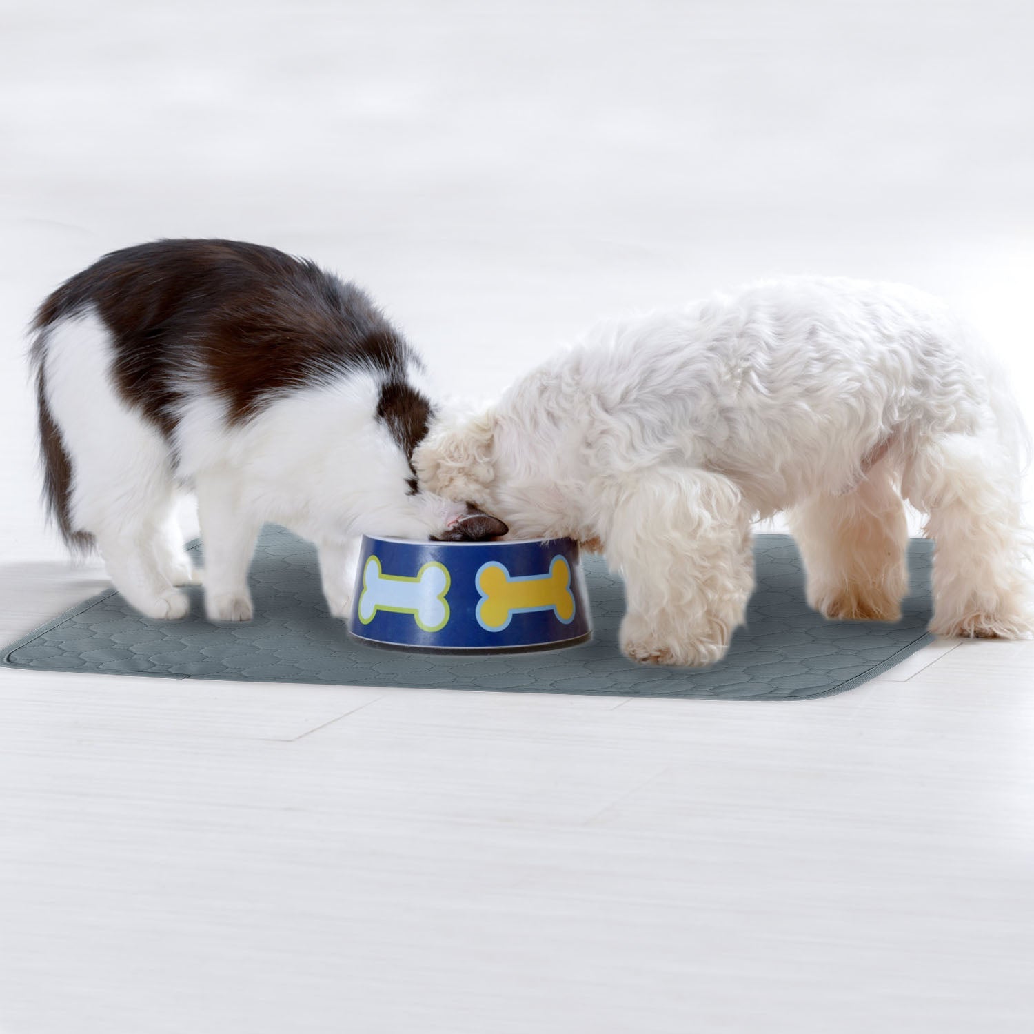 GBruno Washable Dog Pee Pad