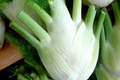 400 Florence Fennel Seeds - Non-GMO, Heirloom Herb & Vegetable | USA Seller,