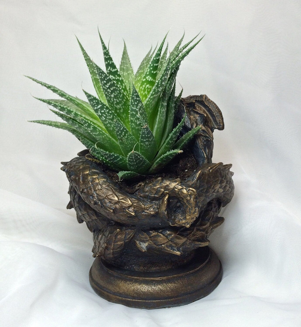 Coiled Dragon Planter, Bronze Finish |  Unique Mythic Creature Home Decor | Resin Sculpture Snake Vase, Fantasy Art and Gothic Home Decor