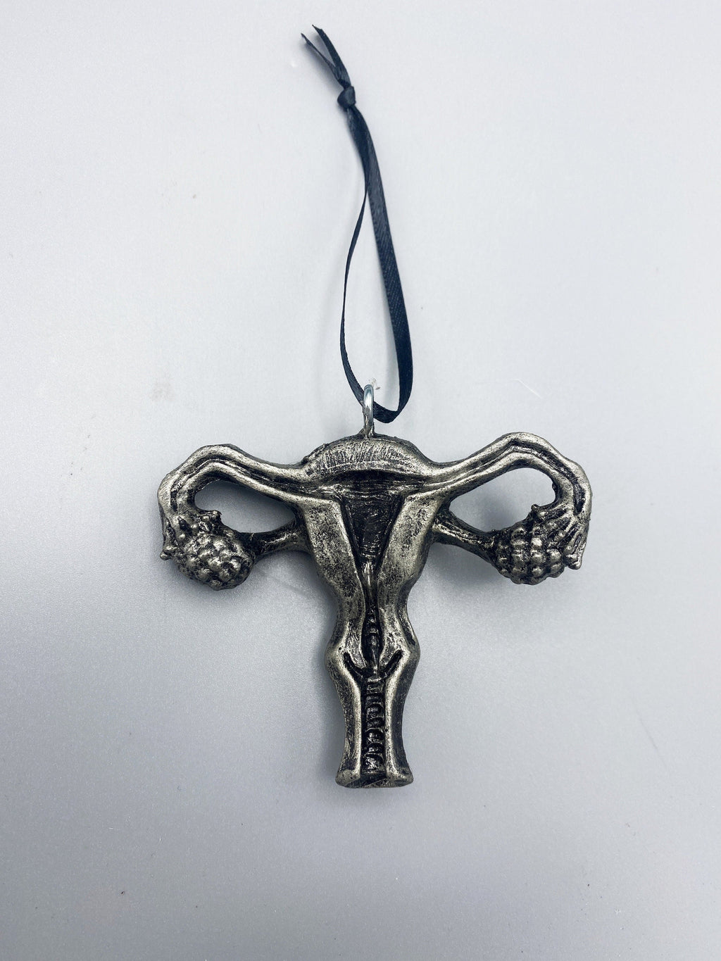 Uterus & Ovaries Ornament, Hand Painted Resin Sculpture | Medical Art, Feminist Symbol, Equal Rights Decor, Reproductive Organs Ornament