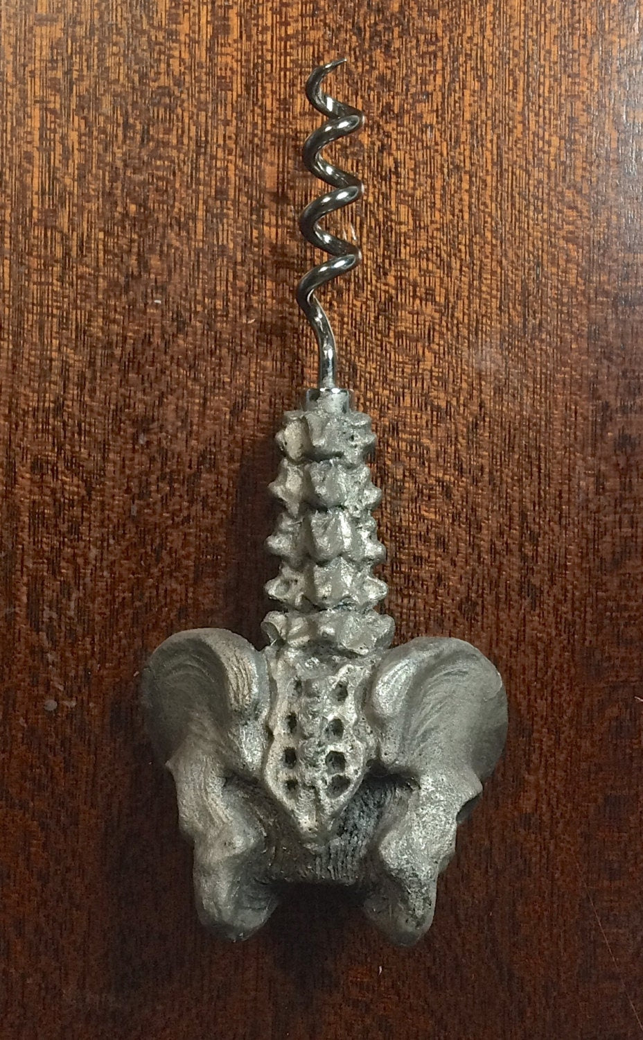 Spine and Pelvis Corkscrew, Hand Painted Resin | Gothic Medical Decor, Anatomy Spinal Cork Screw |Fantasy Gothic Wine and Barware Gift
