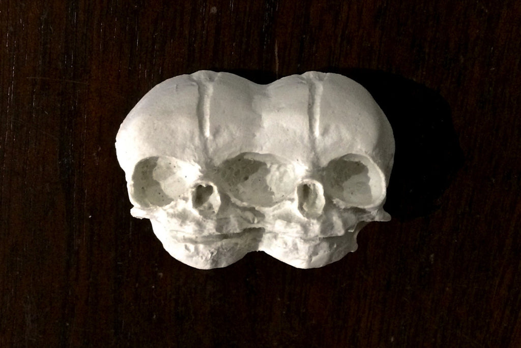 Conjoined Twins Skull  Magnet, Hand Painted Resin Sculpture | Gothic Fantasy Decor | Conjoined Skull Magnet for Fantasy and Gothic Decor
