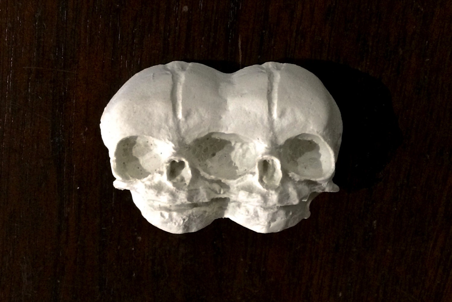 Conjoined Twins Skull  Magnet, Hand Painted Resin Sculpture | Gothic Fantasy Decor | Conjoined Skull Magnet for Fantasy and Gothic Decor