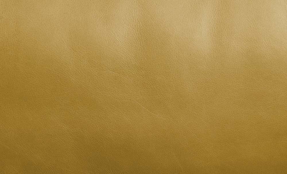 Radia - Sofa With Pillow - Turmeric Top Grain Leather