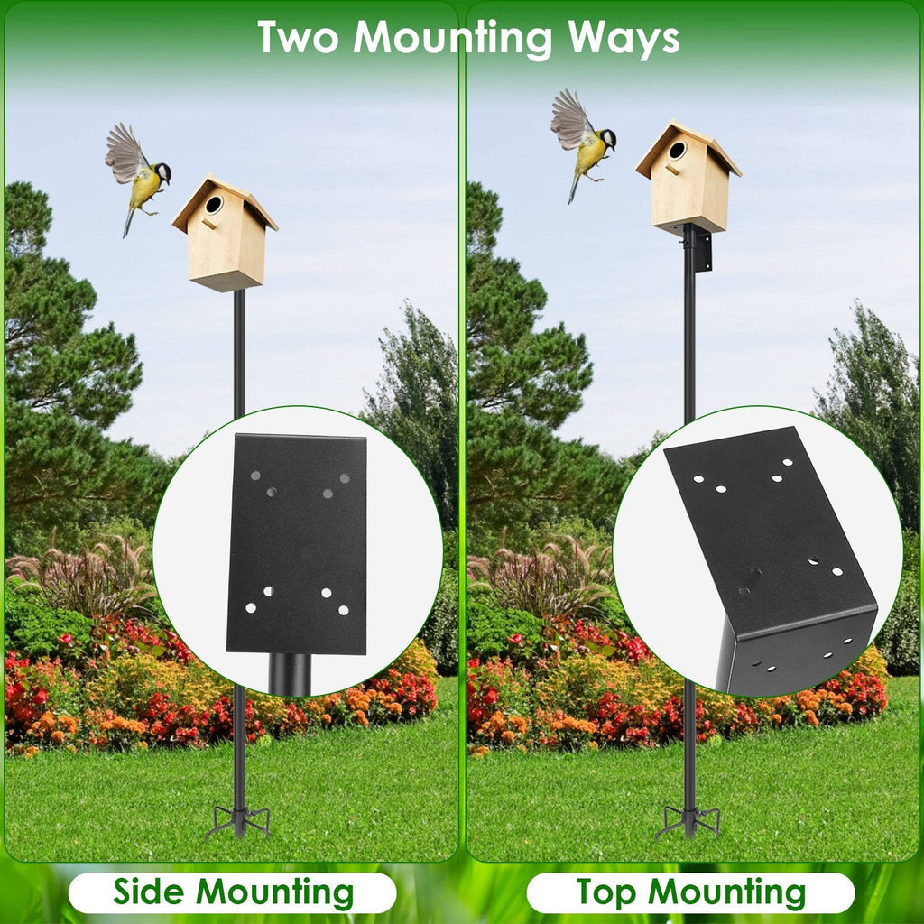 79.92in Bird House Pole Kit Height Adjustable Bird Feeder PoleÊMount Kit Heavy Duty Bird House Pole Set with 5 Prongs Base for Bird House Bird Feeder