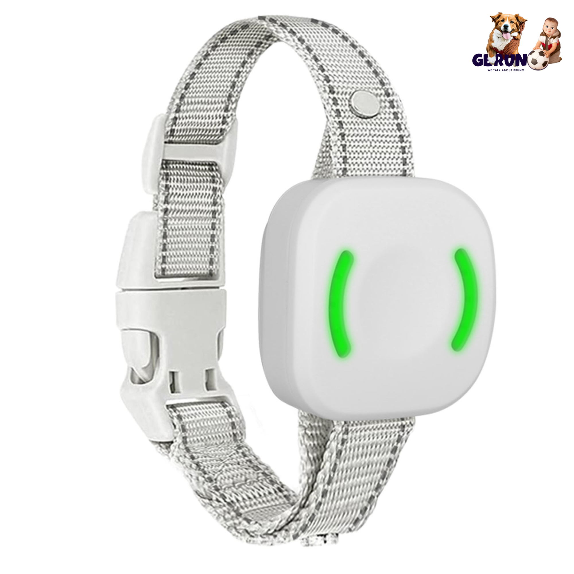 IP67 Waterproof Electric Dog Training Collar Rechargeable Dog Receiver with Light Beep Vibration Shock Fit for All Dogs 10-150LBS