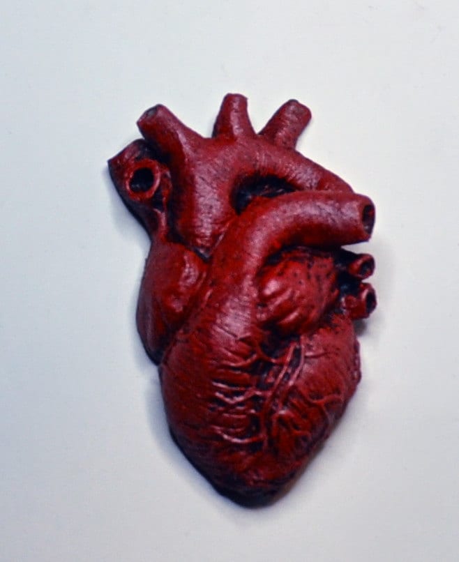 Anatomical Heart Magnet, Hand Painted Resin Sculpture | Gothic Fantasy Decor | Heart Magnet for Fantasy and Gothic Decor