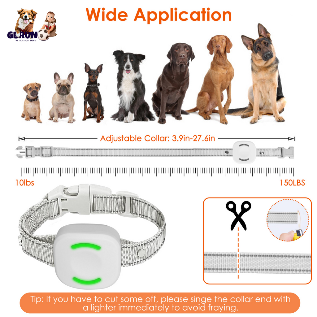 IP67 Waterproof Electric Dog Training Collar Rechargeable Dog Receiver with Light Beep Vibration Shock Fit for All Dogs 10-150LBS