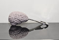 Brain Bottle Opener, Hand Painted Resin | Gothic Medical Decor, Anatomy Brain Bottle Opener |Fantasy Gothic Wine and Barware Gift