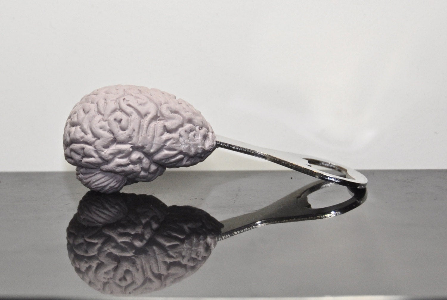 Brain Bottle Opener, Hand Painted Resin | Gothic Medical Decor, Anatomy Brain Bottle Opener |Fantasy Gothic Wine and Barware Gift
