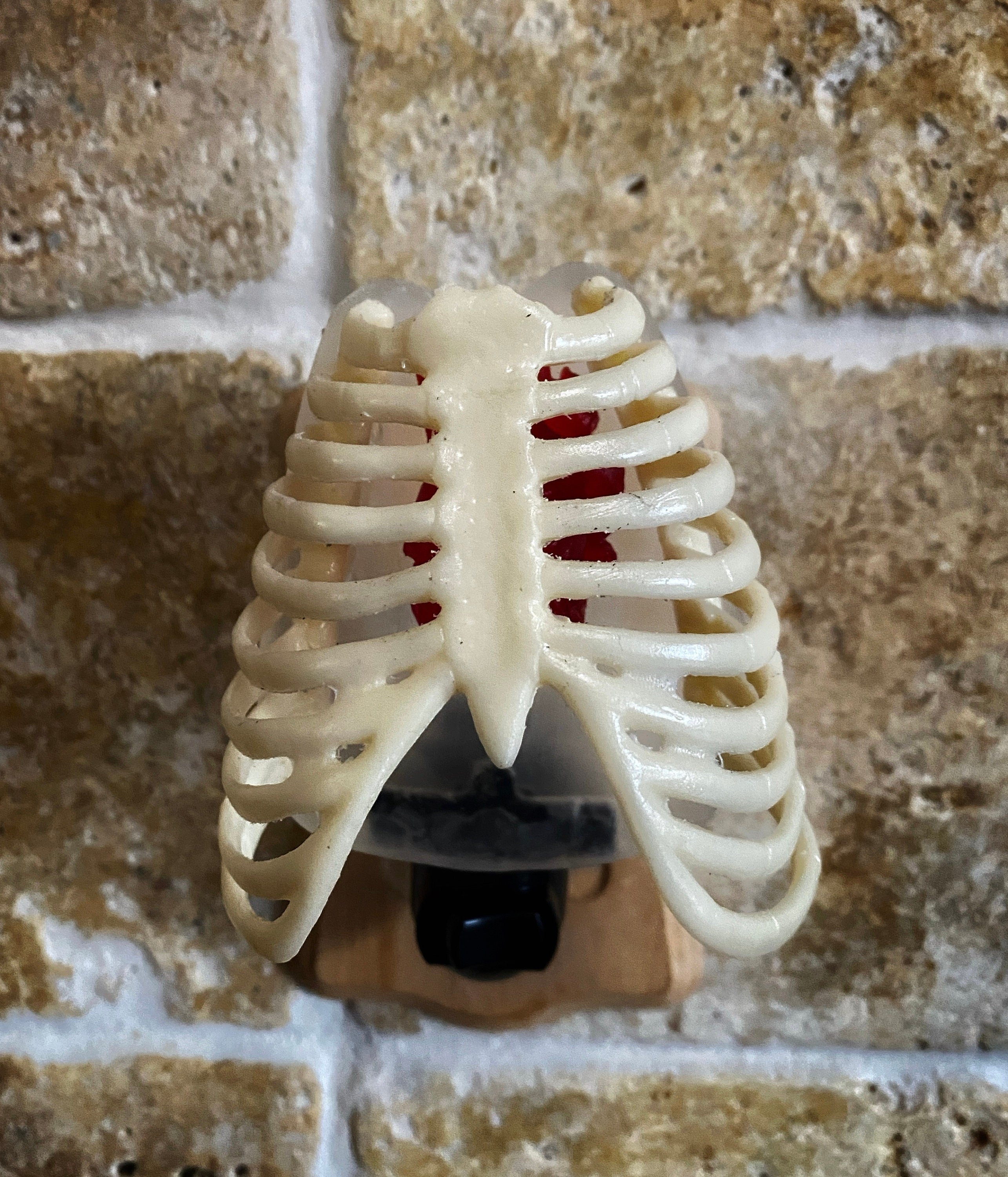 Rib Cage and Heart Nightlight, Hand Painted Resin Sculpture | Gothic Night Light |  Human Anatomy Lighting for Gothic Fantasy Home Decor