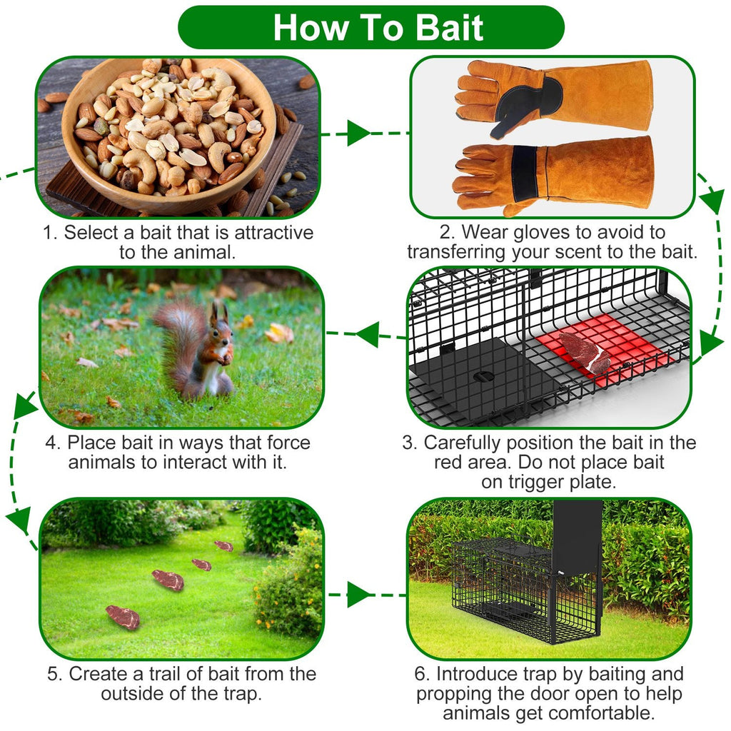 26in Single Door Live Animal Cage Trap For Animals Under 5LBS Easy To Setup Humane Galvanized Iron Trap Cage For Small Cats Rabbits Squirrels Moles Ch